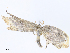  ( - CBG-A06260-A09)  @11 [ ] CreativeCommons - Attribution Share - Alike (2023) CBG Photography Group Centre for Biodiversity Genomics
