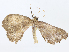  ( - CBG-A06260-C09)  @11 [ ] CreativeCommons - Attribution Share - Alike (2023) CBG Photography Group Centre for Biodiversity Genomics