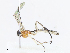  ( - CBG-A06260-D05)  @11 [ ] CreativeCommons - Attribution Share - Alike (2023) CBG Photography Group Centre for Biodiversity Genomics
