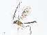  ( - CBG-A06260-D11)  @11 [ ] CreativeCommons - Attribution Share - Alike (2023) CBG Photography Group Centre for Biodiversity Genomics