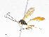  ( - CBG-A06271-G02)  @11 [ ] CreativeCommons - Attribution Share - Alike (2023) CBG Photography Group Centre for Biodiversity Genomics