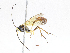  ( - CBG-A06271-G04)  @11 [ ] CreativeCommons - Attribution Share - Alike (2023) CBG Photography Group Centre for Biodiversity Genomics