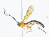  ( - CBG-A06272-C08)  @11 [ ] CreativeCommons - Attribution Share - Alike (2023) CBG Photography Group Centre for Biodiversity Genomics