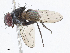  ( - CBG-A06272-E05)  @11 [ ] CreativeCommons - Attribution Share - Alike (2023) CBG Photography Group Centre for Biodiversity Genomics