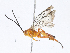  ( - CBG-A06272-F07)  @11 [ ] CreativeCommons - Attribution Share - Alike (2023) CBG Photography Group Centre for Biodiversity Genomics