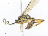  ( - CBG-A06272-H01)  @11 [ ] CreativeCommons - Attribution Share - Alike (2023) CBG Photography Group Centre for Biodiversity Genomics