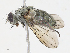  ( - CBG-A06274-E01)  @11 [ ] CreativeCommons - Attribution Share - Alike (2023) CBG Photography Group Centre for Biodiversity Genomics