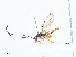  ( - CBG-A08721-B08)  @11 [ ] CreativeCommons - Attribution Share - Alike (2023) CBG Photography Group Centre for Biodiversity Genomics