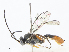  ( - CBG-A08721-B11)  @11 [ ] CreativeCommons - Attribution Share - Alike (2023) CBG Photography Group Centre for Biodiversity Genomics