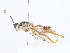  ( - CBG-A08721-C07)  @11 [ ] CreativeCommons - Attribution Share - Alike (2023) CBG Photography Group Centre for Biodiversity Genomics
