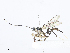  ( - CBG-A08721-C09)  @11 [ ] CreativeCommons - Attribution Share - Alike (2023) CBG Photography Group Centre for Biodiversity Genomics