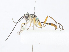  ( - CBG-A08721-C12)  @11 [ ] CreativeCommons - Attribution Share - Alike (2023) CBG Photography Group Centre for Biodiversity Genomics