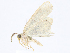  ( - CBG-A08721-D08)  @11 [ ] CreativeCommons - Attribution Share - Alike (2023) CBG Photography Group Centre for Biodiversity Genomics