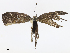  ( - CBG-A08721-E04)  @11 [ ] CreativeCommons - Attribution Share - Alike (2023) CBG Photography Group Centre for Biodiversity Genomics