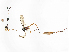  ( - CBG-A08721-H03)  @11 [ ] CreativeCommons - Attribution Share - Alike (2023) CBG Photography Group Centre for Biodiversity Genomics