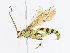  ( - CBG-A08722-A02)  @11 [ ] CreativeCommons - Attribution Share - Alike (2023) CBG Photography Group Centre for Biodiversity Genomics