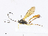  ( - CBG-A08722-A08)  @11 [ ] CreativeCommons - Attribution Share - Alike (2023) CBG Photography Group Centre for Biodiversity Genomics