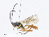  ( - CBG-A08722-C07)  @11 [ ] CreativeCommons - Attribution Share - Alike (2023) CBG Photography Group Centre for Biodiversity Genomics
