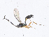  ( - CBG-A08722-C09)  @11 [ ] CreativeCommons - Attribution Share - Alike (2023) CBG Photography Group Centre for Biodiversity Genomics