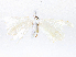  ( - CBG-A08734-A07)  @11 [ ] CreativeCommons - Attribution Share - Alike (2023) CBG Photography Group Centre for Biodiversity Genomics