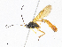  ( - CBG-A08734-D09)  @11 [ ] CreativeCommons - Attribution Share - Alike (2023) CBG Photography Group Centre for Biodiversity Genomics