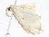  ( - CBG-A08734-E06)  @11 [ ] CreativeCommons - Attribution Share - Alike (2023) CBG Photography Group Centre for Biodiversity Genomics