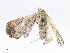  ( - CBG-A08734-G05)  @11 [ ] CreativeCommons - Attribution Share - Alike (2023) CBG Photography Group Centre for Biodiversity Genomics