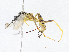  ( - CBG-A08735-C10)  @11 [ ] CreativeCommons - Attribution Share-Alike (2023) CBG Photography Group Centre for Biodiversity Genomics
