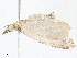  ( - CBG-A08736-C11)  @11 [ ] CreativeCommons - Attribution Share - Alike (2023) CBG Photography Group Centre for Biodiversity Genomics