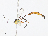  ( - CBG-A08737-D09)  @11 [ ] CreativeCommons - Attribution Share - Alike (2023) CBG Photography Group Centre for Biodiversity Genomics