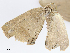  ( - CBG-A08737-E05)  @11 [ ] CreativeCommons - Attribution Share - Alike (2023) CBG Photography Group Centre for Biodiversity Genomics