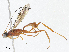  ( - CBG-A08738-B07)  @11 [ ] CreativeCommons - Attribution Share - Alike (2023) CBG Photography Group Centre for Biodiversity Genomics