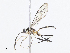 ( - CBG-A08738-D01)  @11 [ ] CreativeCommons - Attribution Share - Alike (2023) CBG Photography Group Centre for Biodiversity Genomics