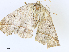  ( - CBG-A08738-D09)  @11 [ ] CreativeCommons - Attribution Share - Alike (2023) CBG Photography Group Centre for Biodiversity Genomics