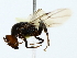  ( - BIOUG80191-G11)  @11 [ ] CreativeCommons - Attribution (2022) CBG Photography Group Centre for Biodiversity Genomics