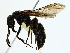  ( - BIOUG85286-F03)  @11 [ ] CreativeCommons - Attribution (2022) CBG Photography Group Centre for Biodiversity Genomics