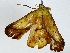  ( - BIOUG85485-F04)  @11 [ ] CreativeCommons - Attribution (2022) CBG Photography Group Centre for Biodiversity Genomics
