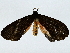  ( - BIOUG85485-F06)  @11 [ ] CreativeCommons - Attribution (2022) CBG Photography Group Centre for Biodiversity Genomics