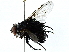  ( - BIOUG89947-C08)  @11 [ ] CreativeCommons - Attribution (2022) CBG Photography Group Centre for Biodiversity Genomics