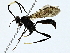  ( - BIOUG89948-A05)  @11 [ ] CreativeCommons - Attribution (2022) CBG Photography Group Centre for Biodiversity Genomics