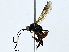  ( - BIOUG89948-A09)  @11 [ ] CreativeCommons - Attribution (2022) CBG Photography Group Centre for Biodiversity Genomics