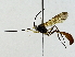  ( - BIOUG89948-B01)  @11 [ ] CreativeCommons - Attribution (2022) CBG Photography Group Centre for Biodiversity Genomics