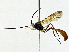  ( - BIOUG89948-B01)  @11 [ ] CreativeCommons - Attribution (2022) CBG Photography Group Centre for Biodiversity Genomics