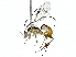  ( - BIOUG89948-B03)  @11 [ ] CreativeCommons - Attribution (2022) CBG Photography Group Centre for Biodiversity Genomics