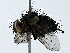  ( - BIOUG89948-F10)  @11 [ ] CreativeCommons - Attribution (2022) CBG Photography Group Centre for Biodiversity Genomics