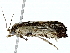  ( - BIOUG89948-G08)  @11 [ ] CreativeCommons - Attribution (2022) CBG Photography Group Centre for Biodiversity Genomics