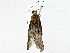  ( - BIOUG89949-H04)  @11 [ ] CreativeCommons - Attribution (2022) CBG Photography Group Centre for Biodiversity Genomics
