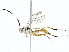  ( - BIOUG89950-C04)  @11 [ ] CreativeCommons - Attribution (2022) CBG Photography Group Centre for Biodiversity Genomics