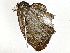  ( - BIOUG89950-H04)  @11 [ ] CreativeCommons - Attribution (2022) CBG Photography Group Centre for Biodiversity Genomics