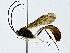  ( - BIOUG89952-E09)  @11 [ ] CreativeCommons - Attribution (2022) CBG Photography Group Centre for Biodiversity Genomics